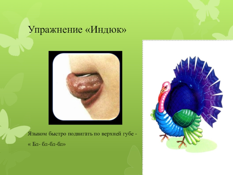 индюк болбочет артикуляционная гимнастика. упражнение индюк артикуляционная гимнастика. упражнение индюшка логопедия. артикуляционная гимнастика индюк. косинова артикуляционная гимнастика индюк.