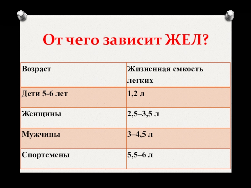 От чего зависит жизненная емкость легких жел