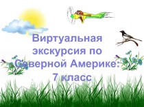 Презентация по географии 7 класс Виртуальная экскурсия по странам Северной Америки.