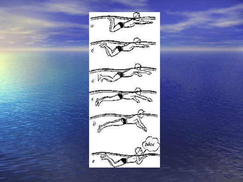 Презентация техники плавания
