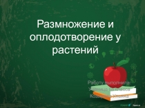 Презентация по биологии на тему Размножение и оплодотворение у растений  ( 6класс )