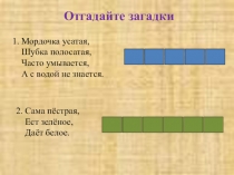 Открытый урок по окружающему миру 2 класс Домашние животные