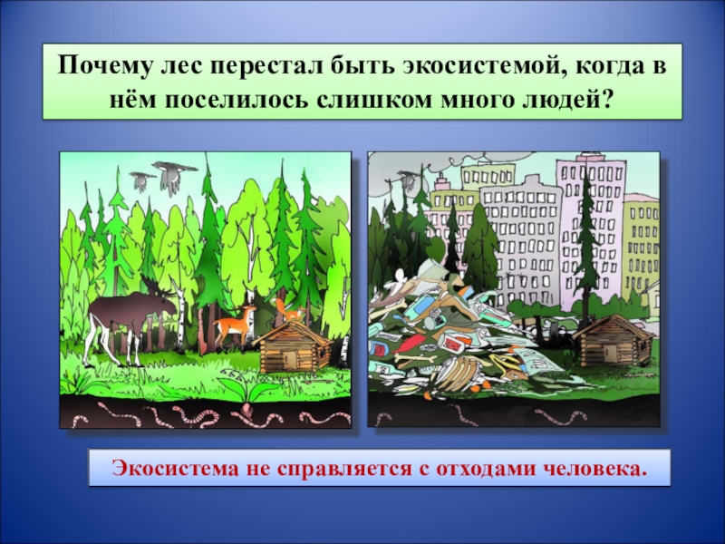 Зачем лес. Экосистема для детей. Экосистема леса рисунок. Экосистема города рисунок. Почему лес это экосистема.