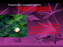 Проект по немецкому языку на темуМы сообща заботимся о нашей планете Земля( 7 класс)