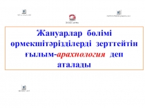 Презентация по биология на тему  Өрмекшітәрізділер класы 7класс