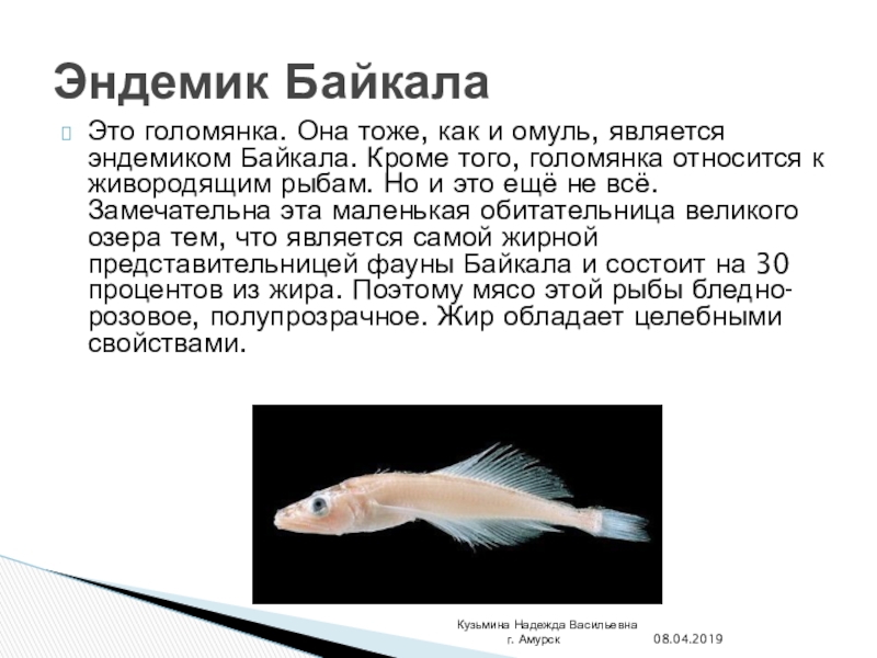 Доклад: Слепая рыба