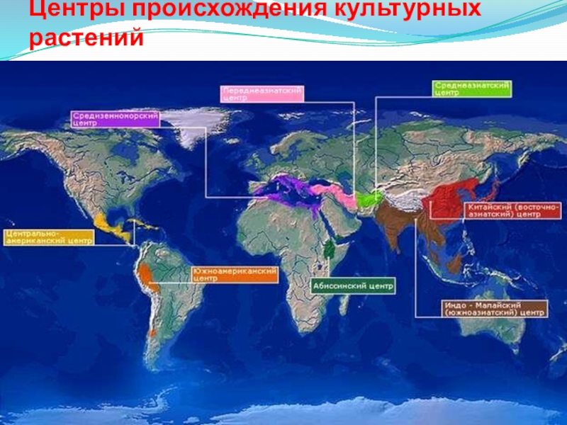 Презентация на тему происхождение культурных растений 6 класс биология