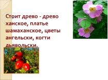 Презентация для недели естествознания