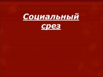 Социальный Срез 1классы 2017-2018 учебный год