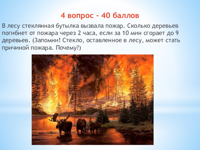 Через сколько сгорает. Летом в лесу бушевали пожары. Баллы пожара. Летом в лесу бушевали пожары среди обгорелых деревьев текст ВПР. Бутылка в лесу может вызвать пожар.