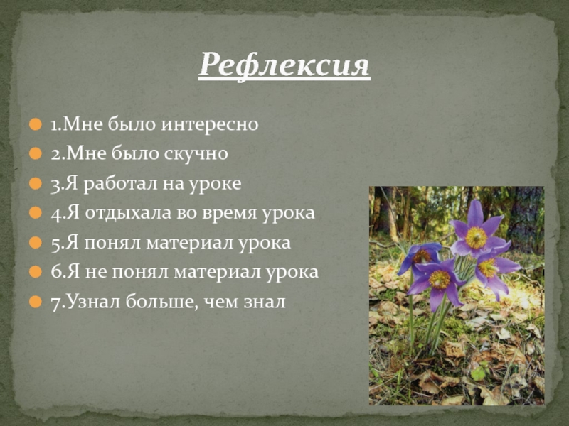 Влияние хозяйственной деятельности человека на растительный мир охрана растений презентация