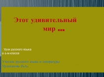 Презентация. Фразеологизмы. 6 класс
