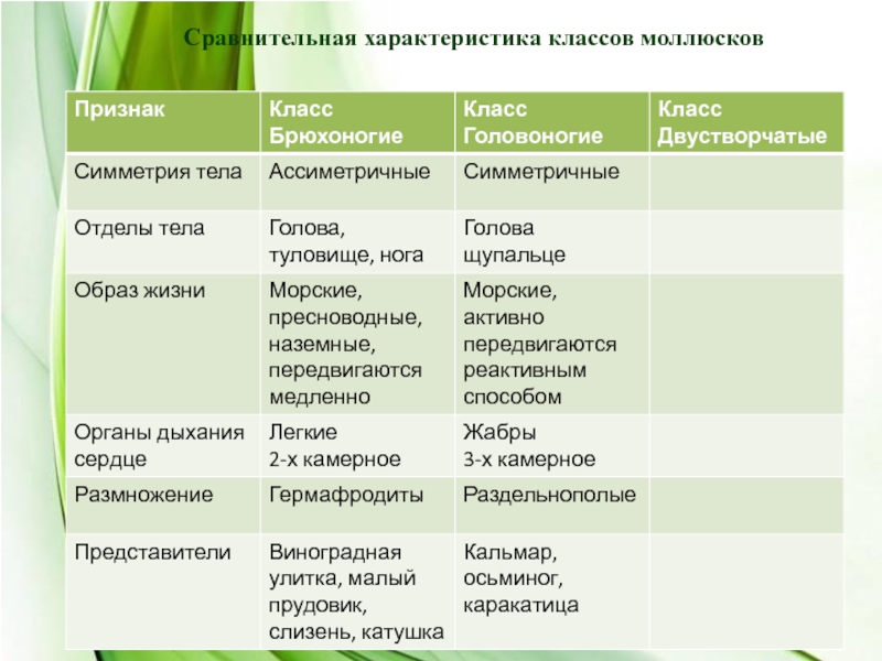 Пользуясь материалом параграфа составьте план ответа по теме общая характеристика класса головоногие