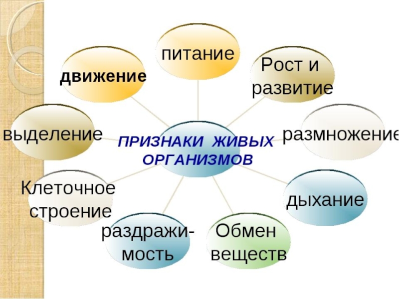 Ученик выполнял проект по биологии какие признаки