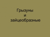 Презентация по биологии Грызуны и зайцеобразные