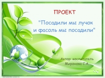 Презентация проекта Зеленый лучок.