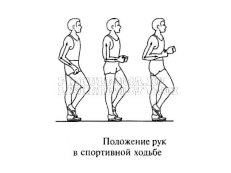 Положение спортивно. Положение рук при спортивной ходьбе. Спортивная ходьба. Спортивная ходьба движение ног. Правильная техника спортивной ходьбы.