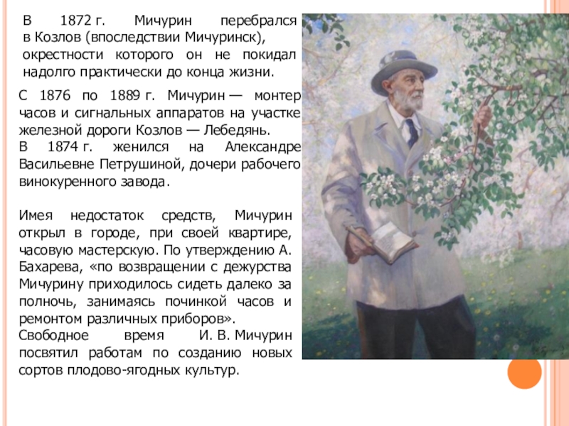 Мичурин токио. Иван Владимирович Мичурин. Мичурин Козлов. Мичурин селекция. Мичурин сорта.