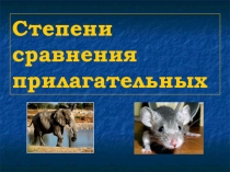 Презентация по английскому языку на тему Степени сравнения прилагательных(4 класс)