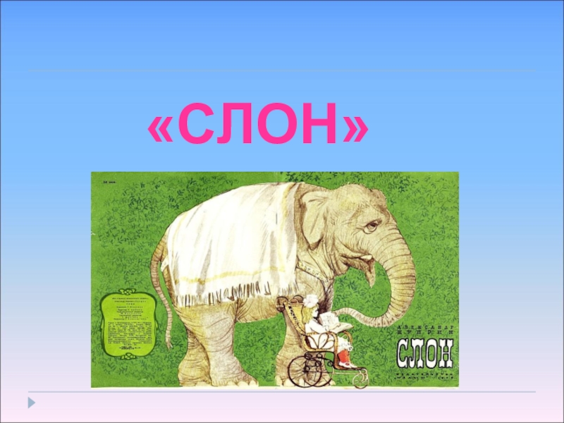 Рассказ слон текст. Литературное чтение слон. Куприн а. и. "слон". Куприн слон презентация.