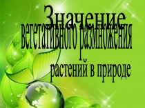 Презентация по теме Значение вегетативного размножения