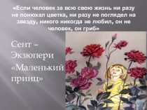 Презентация по ОРКСЭ на тему: Нравственные ценности по материалам произведения Сент-Экзюпери Маленький принц