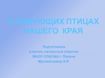 Презентация. О зимующих птицах нашего края.