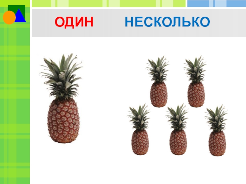 Презентация 1 много. Один и несколько. Несколько картинок в одной. Один много титульный лист. Один или несколько картинки.