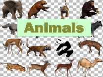 Презентация 2 к конспекту урока Животные Сафари парка 3 класс УМК Милли автор С.А.Азаровав