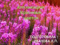 Презентация по аппликации на тему Цветы