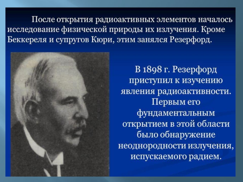 Кашкаров даниил николаевич презентация