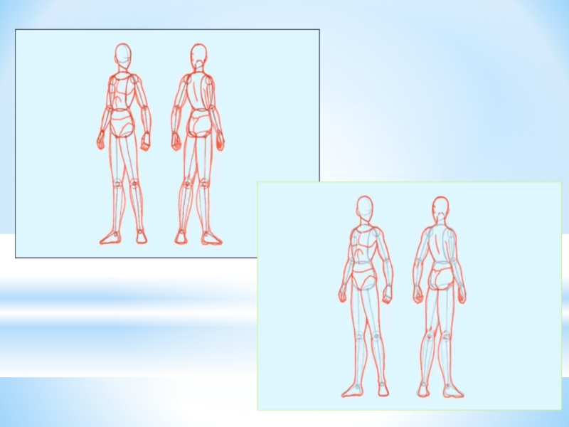 Презентация 7 класс пропорции и строение фигуры человека изо 7 класс