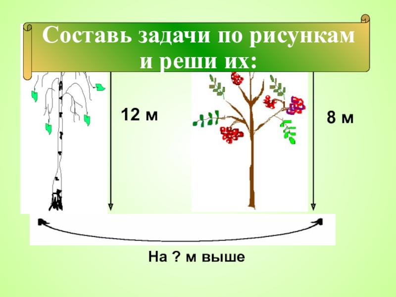 Сделай схематический чертеж и реши задачу береза выше липы в 3 раза определи высоту березы