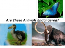 Презентация для 5 класса к УМК Афанасьева Михеева