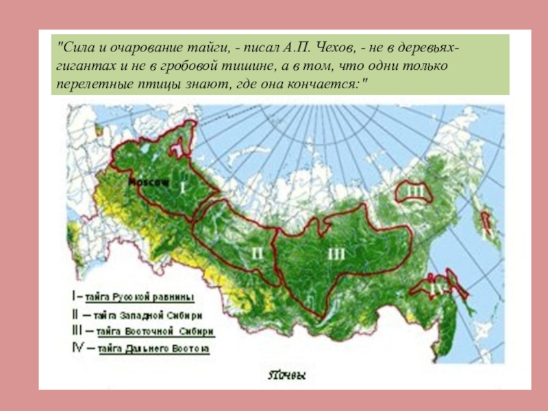 Зона лесов карта