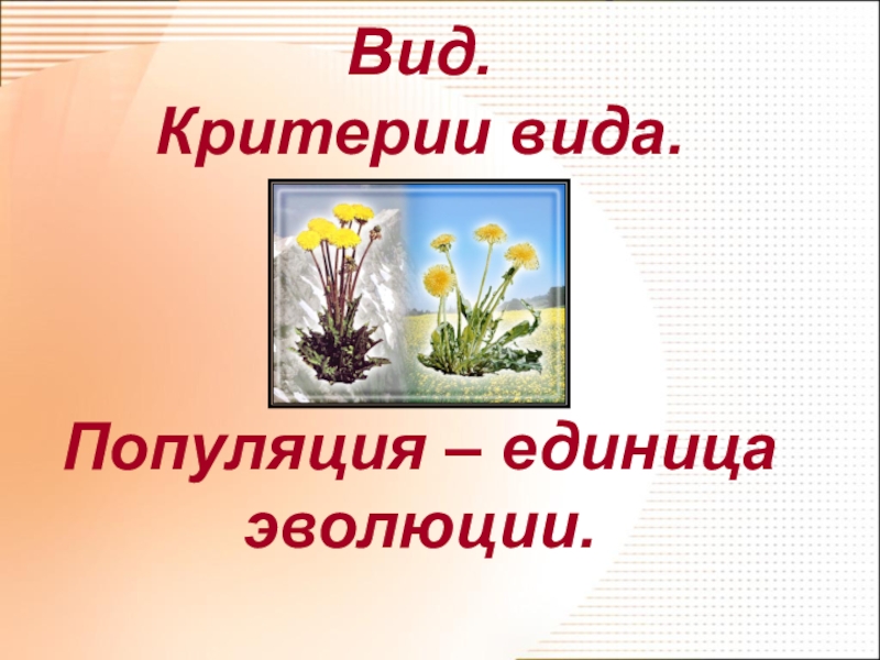 Виды и их критерии. Вид критерии вида популяция. Вид критерии вида 11 класс. Вид, критерии вида, популяция 11 класс. Вид критерии вида презентация.