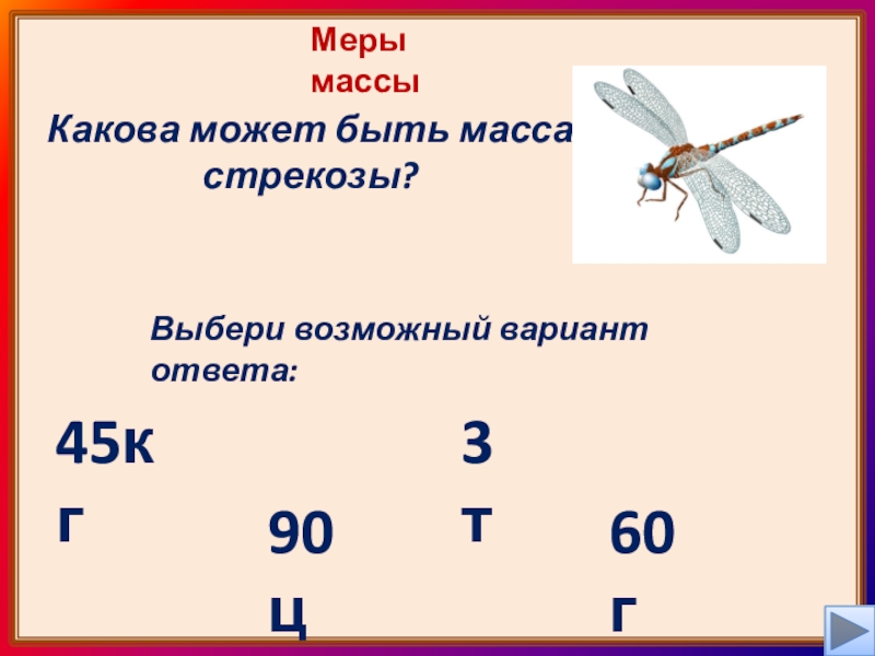 Выбери возможный вариант ответа. Вес Стрекозы. Масса Стрекозы в граммах. Масса Стрекозы составляет. Выбери возможной вариант ответа.