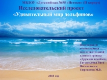 Презентация Удивительный мир дельфинов