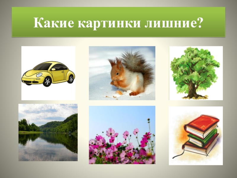 Изображения бывают. Какие бывают картинки. Какие картинки лучше. Какие какие картинки. Картинки какие картинки есть.