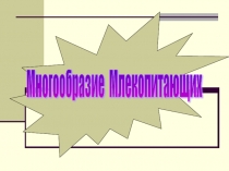 Урок презентация Многообразие млекопитающих