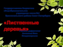 Презентация к коррекционно-развивающему занятию Лиственные деревья