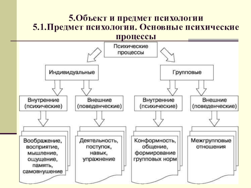 Психические процессы в социальной деятельности