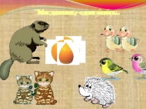 Презентация по математике Доли. Образование и сравнение долей.