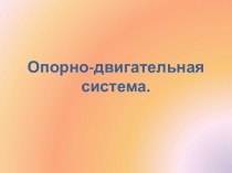 Презентация по физической культуре на тему Опорно-двигательная система
