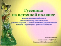 Методическая разработка по сенсомоторному развитию детей раннего возраста,с использованием дидактического пособия  Гусеница на цветочной поляне