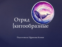 Презентация по биологии на тему: Отряд Китообразные (7 класс)