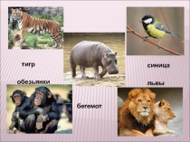 Презентация к интегрированному уроку по информатике и окружающему миру (1 класс)