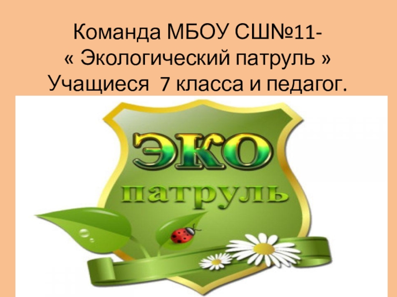 Экология 11 класс. Презентация экологический патруль. Экологический патруль визитка.