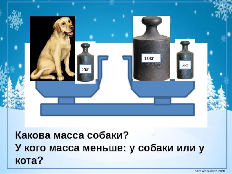 Весы щенок. Задача с весами про собак. Масса собаки на 10 кг больше. 10 Кг на массу собаки. Масса собак и кошек.