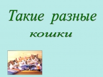 Презентация Такие разные кошки.